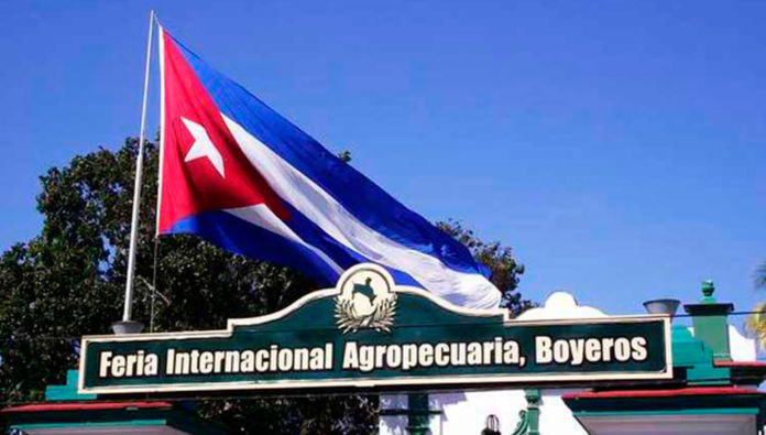 imagen-activa