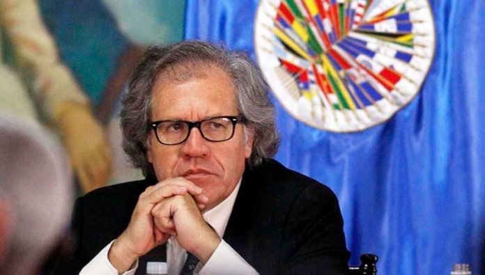 imagen-activa