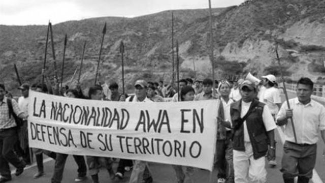 imagen-activa