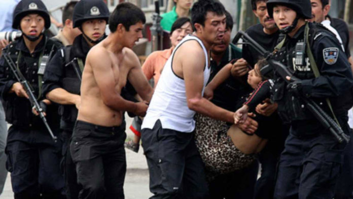 imagen-activa