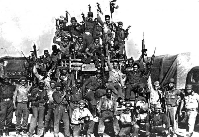 t1m29gea