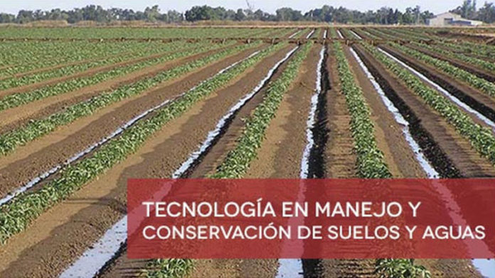 imagen-activa_p