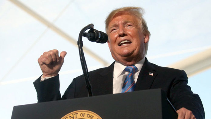 imagen-activa_p Donald Trump