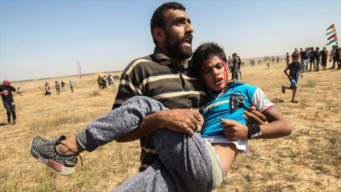 imagen-activa_p Franja de Gaza