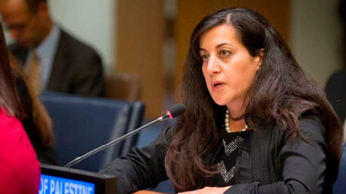 imagen-activa_p Feda Abdelhady-Nasser