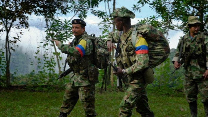 imagen-activa_p