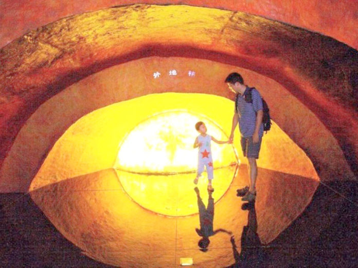 c6c19987-faf5-4fe6-b533-f4aff2953528_800