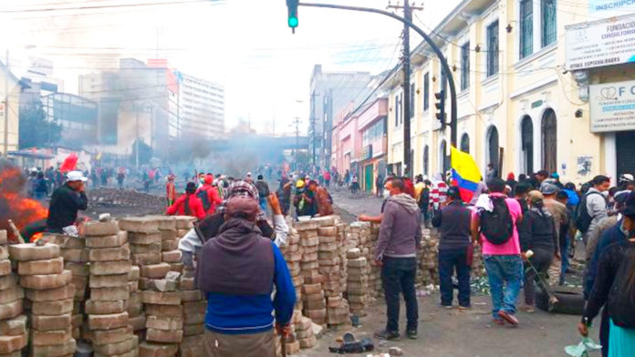 imagen-activa