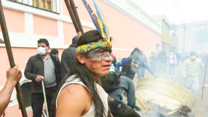 imagen-activa