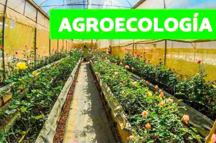 AgroecologiaArtemisaForoMun