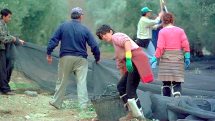 imagen-activa