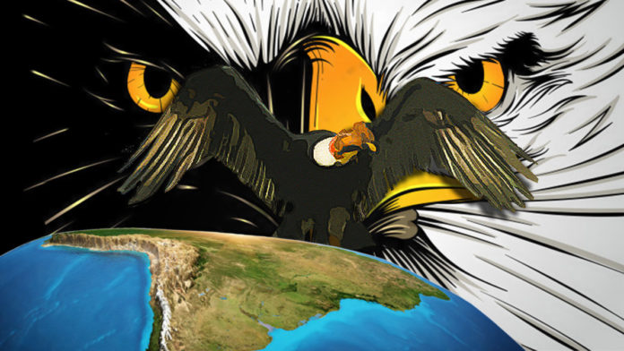 condor