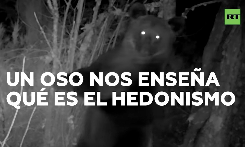 imagen-activa