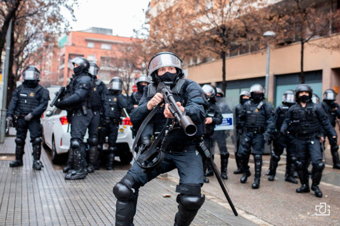 imagen1
