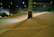 Rusia envía 25.000 toneladas de grano gratis a Eritrea