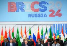 Los BRICS: nuevos núcleos de los agónicos APEC y G20