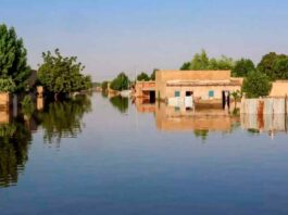 Todo Chad devastado por inundaciones nunca vistas
