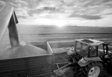 Otro país africano reduce sus relaciones con Francia