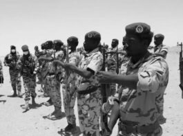 El ejército chadiano liquida a 300 yihadistas de Boko Haram