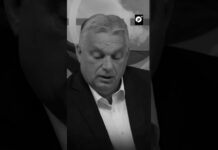 Hungría: Ucrania opera como una mafia internacional