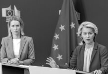 Alto cargo ruso: «La élite de la UE teme la paz»