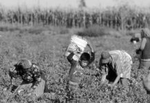 Trabajo infantil: un horror que persiste