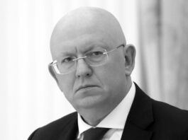 Vasili Nebenzia