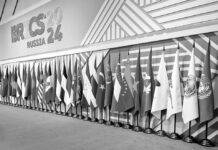 La arquitectura BRICS+: un logro valioso, que es deseable contemple la experiencia del CAME