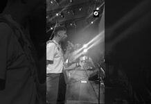 Multitud clama «¡Palestina libre!» en festival Roskilde de Dinamarca