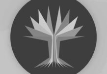 Los BRICS se consolidan como emblema del nuevo orden multipolar