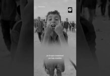 Hambruna en Gaza: Niños comen arena