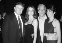 🤡 El cambio del número de la Casa Blanca por «Isla de Epstein» se atribuyó a un error