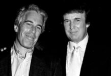 Caso Epstein: siguiendo la pista del dinero