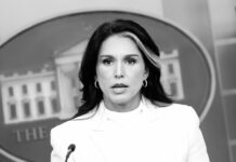 «Fracaso absoluto»: Tulsi Gabbard explota contra Obama por su «conspiración traicionera»