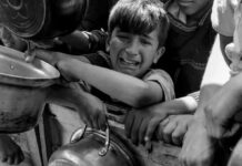 Trump es responsable de la hambruna en Gaza, denuncia grupo palestino