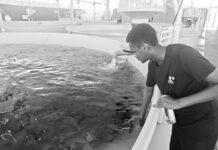 Sembrar peces en China, replicar en Ruanda