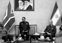 Irán y Sudáfrica expanden su cooperación militar