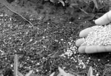 Rusia incrementó exportaciones de fertilizantes a la India