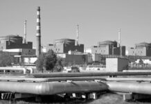 Nuevo ataque de los nazis contra instalaciones de la mayor central nuclear de Europa