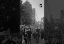 Bruselas se levanta en solidaridad con Palestina