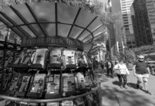 Tiro en el pie: Políticas de Trump reducen 3,9% el turismo internacional hacia EE.UU.