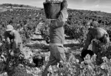 La sobreexplotación vacacional