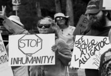 Autoridades estadounidenses niegan acceso a abogados para detenidos en Alligator Alcatraz