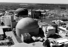 Milei pone en venta termoeléctricas nucleares