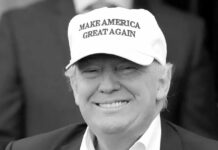 La familia Trump obtiene criptomonedas y Emiratos Árabes Unidos obtiene chips