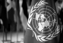 Ochenta años de la ONU entre guerras y crisis
