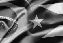 Cuba y Brasil por ampliar cooperación en materia alimentaria