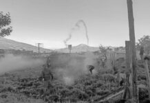 Represión durante paro indígena en Ecuador contra medidas neoliberales de Noboa