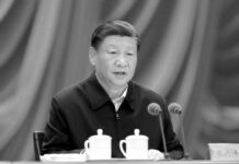 Xi Jinping exalta avances socioeconómicos y estabilidad en Xinjiang