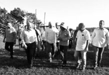 Allí donde la voluntad dice la última palabra, y para bien